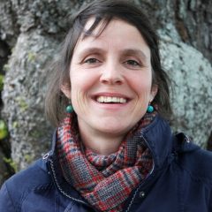 lisa-photo-site lisa-photo-site